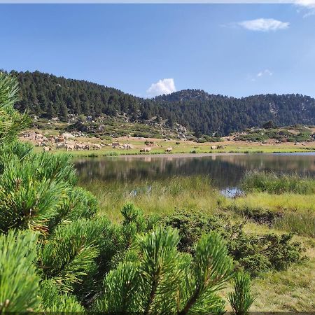 Residence Orazur - Appartement De Charme - 2 Chambres - Poele A Bois - 2 Balcons - Jardin - Parking - Internet - Linge Et Menage En Options Payantes Font-Romeu-Odeillo-Via Bagian luar foto